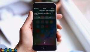 How to Use Siri to Send Money via PayPal on iPhone