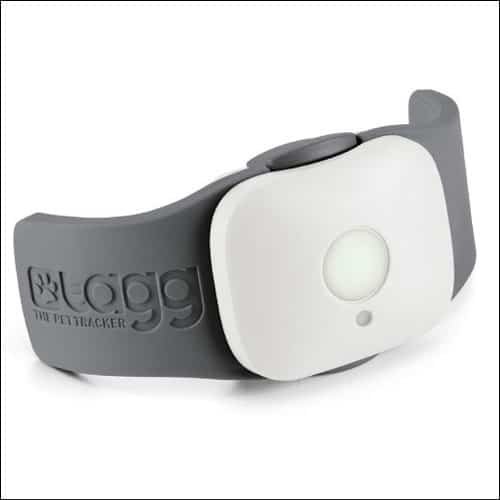 Tagg GPS Pet Tracker