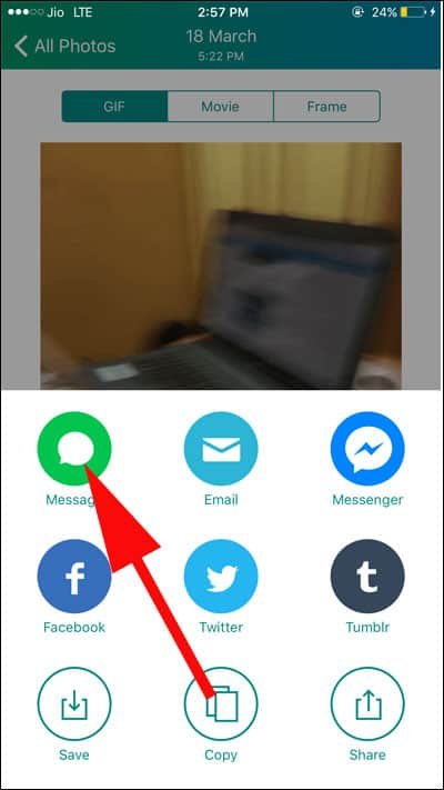 Select Message Option to Share GiF