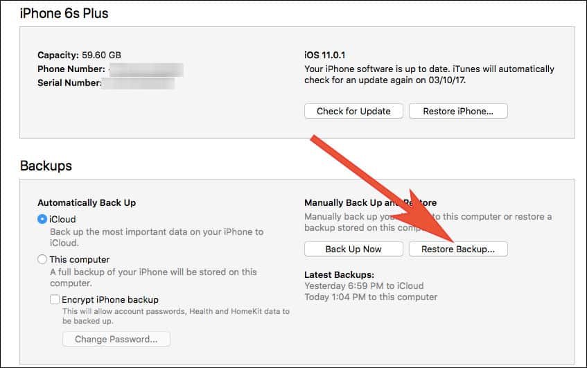 Click on Restore Backup to get your contacts back