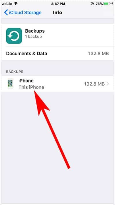 Choose backup from iCloud Drive to delete