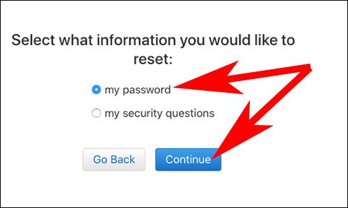 Choose Apple ID Password and Click on Continue