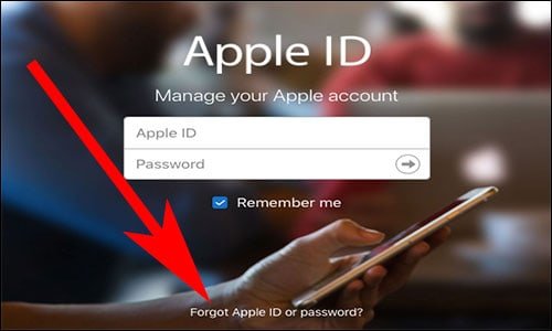 Open AppleID. Apple.com and Click on Forgot Apple ID Password