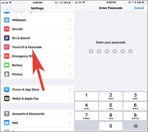 Tap on Touch ID and Passcode in iPhone Settings and Enter Passcode