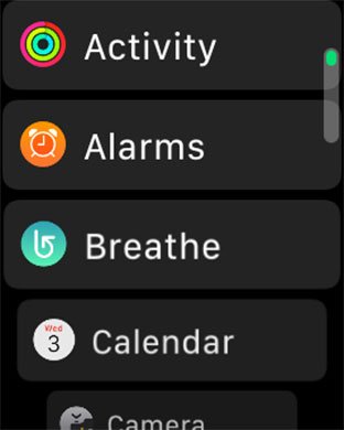 Switch to List View on Apple Watch