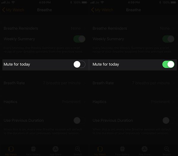 Turn off Breathe Reminder on Apple Watch for a Day