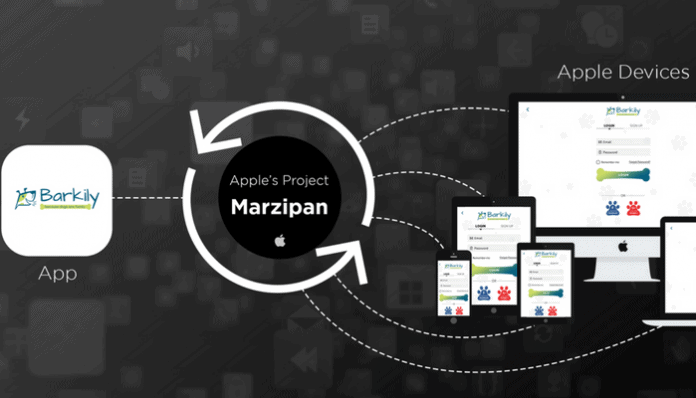  Marzipan Support