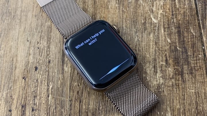 Use Siri On Your Apple Watch