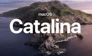 MacOS Catalina Apple Logo